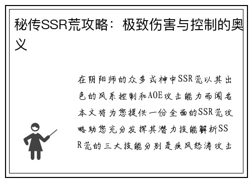 秘传SSR荒攻略：极致伤害与控制的奥义